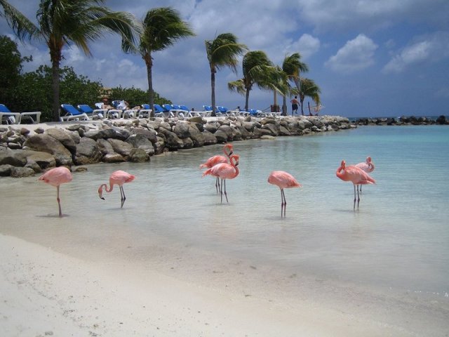 Melhores locadoras de carro em Aruba